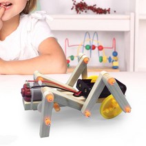 DIY Kit Science Experiment Crawling Educational 12, 단일옵션
