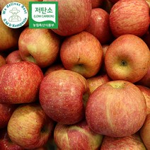 [GMD]저탄소인증 산지직송 당도선별 경북 의성 가정용 햇 사과 고당도 빨간 꿀 사과, 중과 사과 3kg, 1개