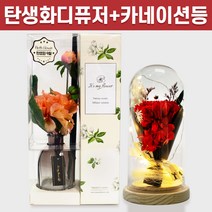 탄생화 디퓨저 선물 세트 9월 탄생화 다알리아 피치 + 카네이션 무드등 부모님 선생님 스승의날 엄마 장모님 생신 생일 집들이 선물 실내 디퓨저 실내 방향제 디퓨져, 라벤더, 레드, 500ML