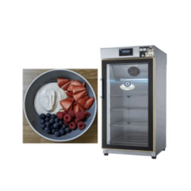 업소용 요거트 숙성기 낫또 청국장발효 요거트발효기, SL118