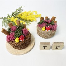 노인보호센터 미술치료 시나몬 모스 천연방향제 만들기 미니어처소품 DIY세트 방과후, 1인용