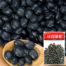 기타 바보사랑[화분월드]서리태콩 씨앗 (30g) 채소씨앗 야채씨앗 완두콩씨앗, 1