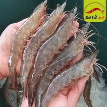 국내산 급냉새우 특대1kg(22~27미) 쓰리고수산 산지직송 신안 새우 왕새우 생새우 대하 국산흰다리새우 캠핑새우 제철수산물 shrimp, 1개, 1kg