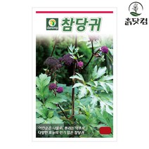참당귀 씨앗 1g 한국산 당귀 약초 향균 작용 민속채소 + 네임택, 단품