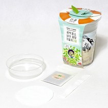 틔움세상 화분재배키트 한컵새싹농장 새싹채소 키우기, 브로콜리