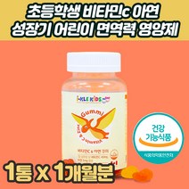 초등학생 비타민c 아연 성장기 어린이 면역력 영양제 체력 저하 증진 편식 밥 잘먹는 젤리