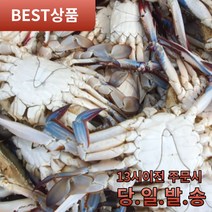 산지직송 가을 수율보증 제철 수꽃게 2kg (6~10미내외), 가을 수꽃게 2kg(6~10미내외), 1개