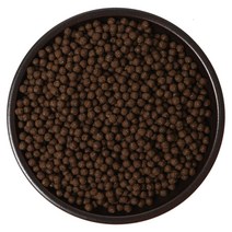 케이웰니스 노니환 노니 열매 추출분말 건강 환, 1봉, 500g
