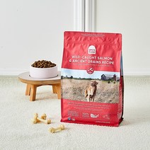 오픈팜 독 에이션트 그레인 연어 1.81kg, 단품, 단품, 단품