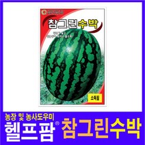 헬프팜 참그린수박 50립 씨앗 그린하트바이오, 참그린수박 씨앗