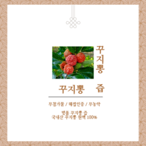 꾸지뽕 추출물 국내산 100% 무농약 해썹인증 엑기스 나무 차 열매 즙 진액 60포, 100mlx60포(1개월분), 1개