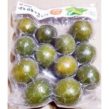 재호 냉동 라임 1Kg 얼린라임 다용도냉동라임