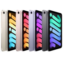 애플 아이패드 6세대 미니 셀룰러 64GB, Pink