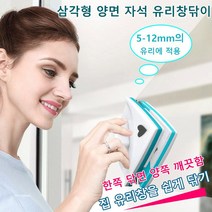 양면 유리창닦이 자석유리창닦이 창청소도구, 그레이 그린