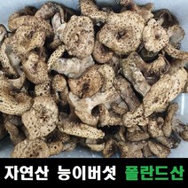 건조능이버섯 슬라이스 폴란드산, 1kg, 1개