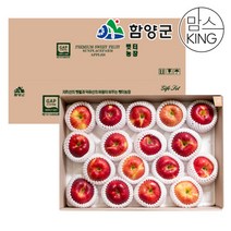 [함양군][햇터농장] 함양 지리산 고랭지 사과선물세트 대 14-16과, 단품