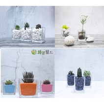 화분월드 백자갈 꿈돌 강자갈 흑자갈 칼라스톤 에그스톤, 칼라스톤(초록)(500g)