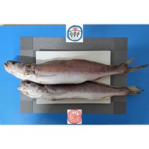 반건조 민어조기 뾰족이 제수용 소 중 대(1미), 40cm~41cm 450g~499g