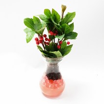 트리앤 라인병 젤리소일 천냥금 1개, 6.라인병 젤리소일 천냥금 (오렌지) 1개