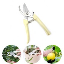 전지가위 전정가위 가지치기 꽃가위 다목적가위 나무전지가위 원예가위 접목 조경 원예용 분재