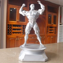 JINGHENG 자아 다듬기 조소 보디빌딩 경기 각인 트로피 헬스장 엔틱한디자인 근육 남자 기념품, 분홍색깔숏근육지미A실버, 1개