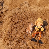마사토 모래 15kg 텃밭 분갈이 흙 잔디 배토 뗏밥용 모래 화단 나무 식재용 친마사, 마사토흙 15kg