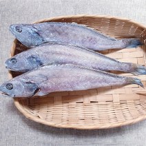 남해안 삼천포 반건조생선 제수용 민어 30cm이상 3미