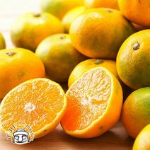 서귀포 하례마을 하우스감귤 5kg (소과 실중량), 단품