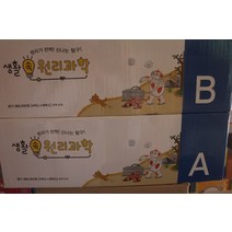 [개똥이네][중고]생활 속 원리과학
