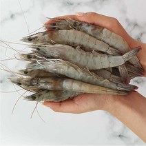 신안 햇생새우 1kg 30미내외 국산 22년 11월제철 양식 흰다리새우 산지직송 소금구이 찜 새우장 튀김 탱글탱글 첫출하 전라남도 신안군 새우탕 라면 택배 배송, 신안햇생새우 1kg(30미 내외), 1개