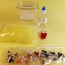 미니 전기영동 실험키트 리필 10인용 4종[전기영동의 원리 범죄과학 제한효소(PTC미맹) 바이러스PCR][라이프 사이언스 에듀랩], 전기영동의 원리