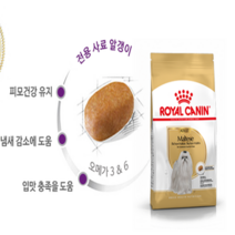애견고급사료 로얄캐닌 독 말티즈 시추 어덜트 1.5kg