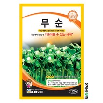 새싹 무순 700립/ 새싹씨앗 새싹키우기 수경재배 무순씨앗 무순씨