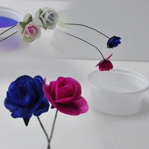 색이 변하는 꽃만들기 (5인) 산 염기