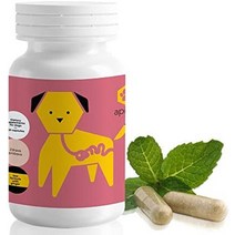 apipet gastro - 개를 위한 소화기 건강 지원 포뮬러 - 꿀벌 꽃가루 프로폴리스 앰플이 포함된 애완 동물 영양 보조제 생강 - 구취를 제거하는 데 도움이 됩니다. 더, 60캡슐