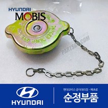 트라고 6X4 순정 라디에이터 캡 뚜껑 (2006-2010.02)