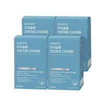 모어네이처 이지슬림 차전자피 쾌변 다이어트 28포 식이섬유 가르시니아 함유, 4박스