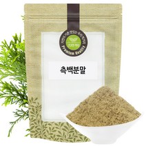 측백 분말 가루 300g 국산 국내산, 1개, 단품