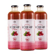 [[[3병]]] 코스트코 로즈힙 퓨레 1000ml 3병 - 에어셀 안전포장, 단품