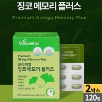 프리미엄 징코 메모리 플러스 은행잎 추출물 플라보놀배당체 비타민B 컴플렉스 아연, 02개(8개월), 60정X2