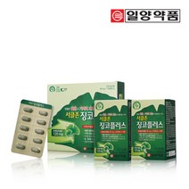 일양약품 서클존 징코플러스 60정 4개월분, 30g, 2개