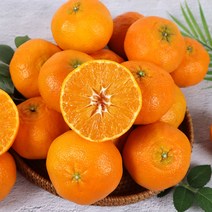 채홈 제주직송 제주 레드향 1.5kg(4과~13과) 2.5kg(7과~20과) 4.5kg(11과~28과) 중소과 중과 대과, 4.5kg 대과(11과~14과)