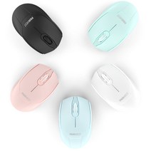 PANWEST BluetoothMouse 5.0 BT3050 팬웨스트 블루투스마우스5.0, White