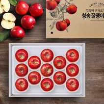 청년연구소 선물세트 청송 꿀땡이 사과 5kg 10-14과(대과)