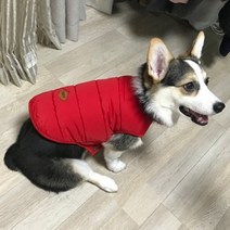 강아지 패딩 옷 코카스파니엘 조끼 닥스훈트 웰시코기 커플룩 반려견 방한복 애견 기모, 사이즈