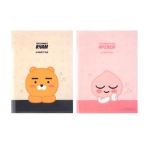 2000 카카오프렌즈 투포켓 파일 라이언, 2개