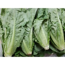 [특급] 싱싱한 통로메인 500g /1kg, 통로메인 1kg