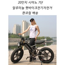 20인치 시마노7단 디스크브레이크 팻바이크 전기자전거 PAS 가능 완조립배송 TF-65, 완조립, 4번