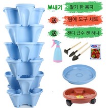 베란다 테라스 정원 실내 식물 딸기 수직 화분 키우기, 블루 6개 물받이+일반 트레이+범용트레이