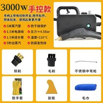 스팀 발생기 청소기 가정용 스팀기 고압 고온 증기 머신 분사기 핸드 소독 기계 업소용 세척, 스팀 발생기 3000W-직 분사형